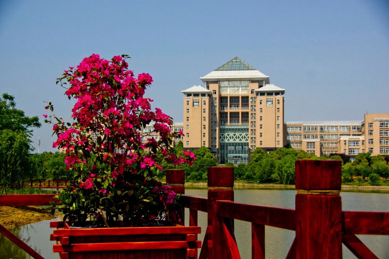 武汉科技大学校园风光4