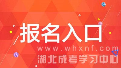 2020年湖北成人高考指导报名入口