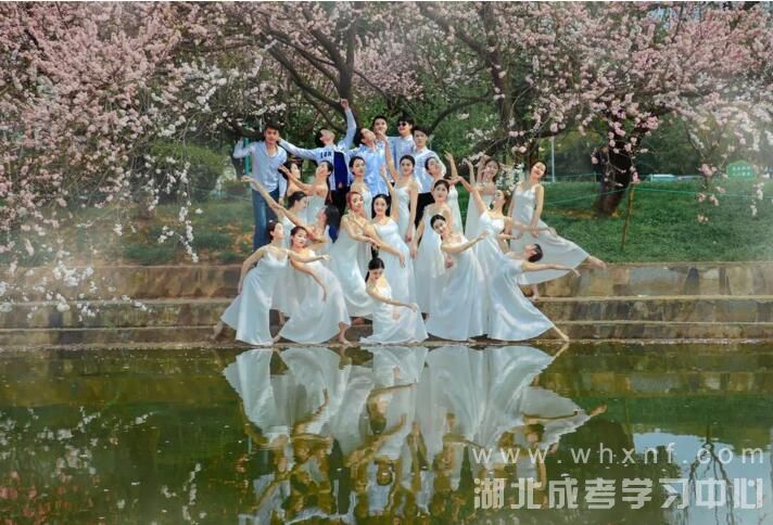 高考报志愿指南如何选择 高考报志愿指南如何选择