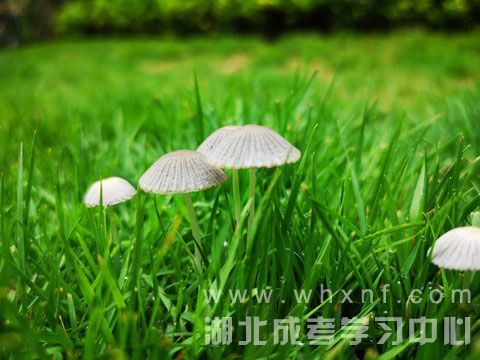 成考政治考试知识点