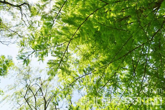 成人高考数学考试方法